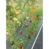Gutta Gardentec Standard 4 x 2,5 m - Image 4