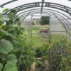 Gutta Gardentec Classic 4 x 3 m - Image 5