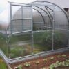 Gutta Gardentec Classic 8 x 3 m - Image 4