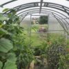 Gutta Gardentec Classic PROFI 2 x 3 m - Image 5