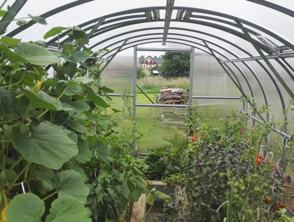 Gutta Gardentec Classic PROFI 4 x 3 m - Image 5