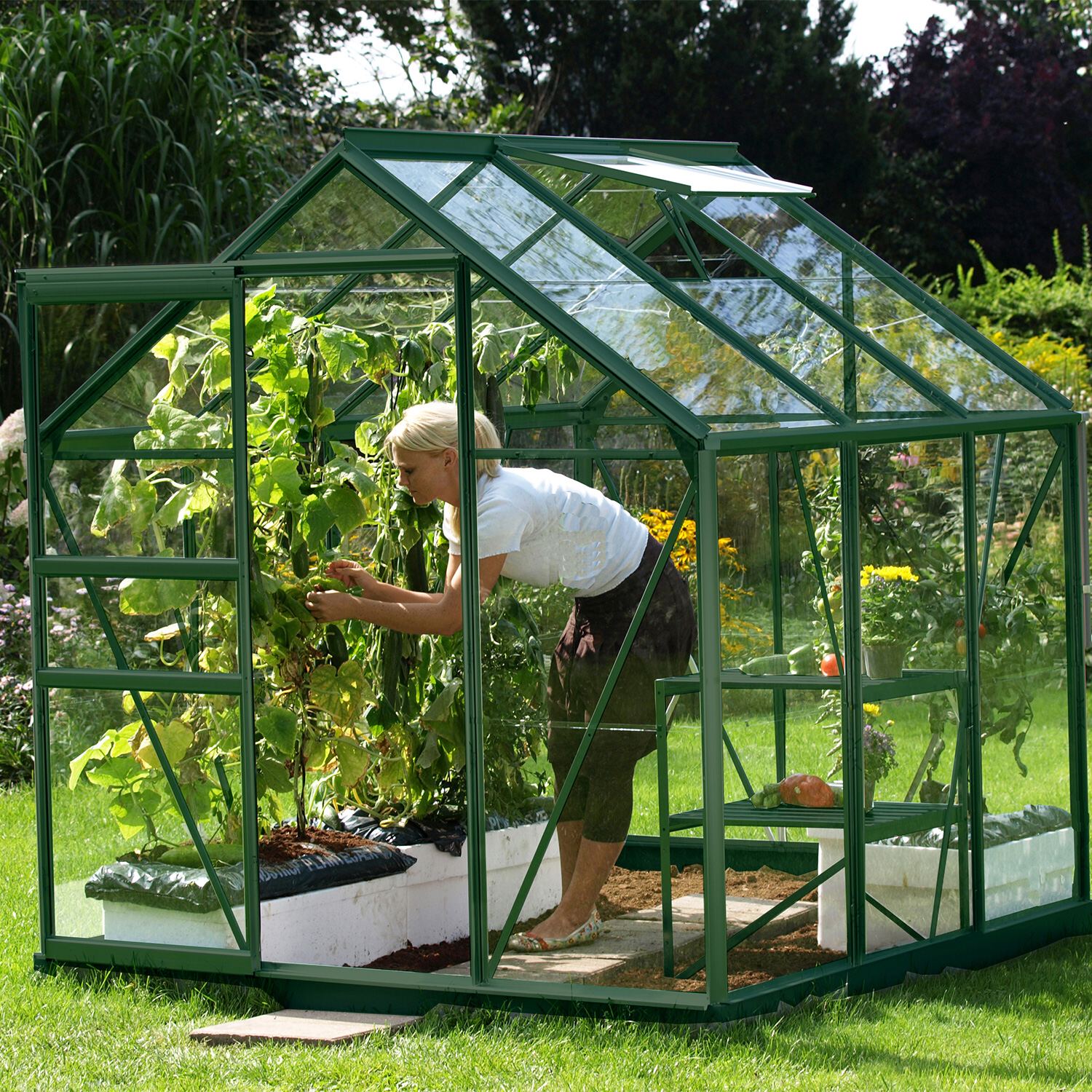 Skleník ze skla VITAVIA VENUS 3800, čiré sklo 3 mm, zelený LG1031 - Obrázek 2