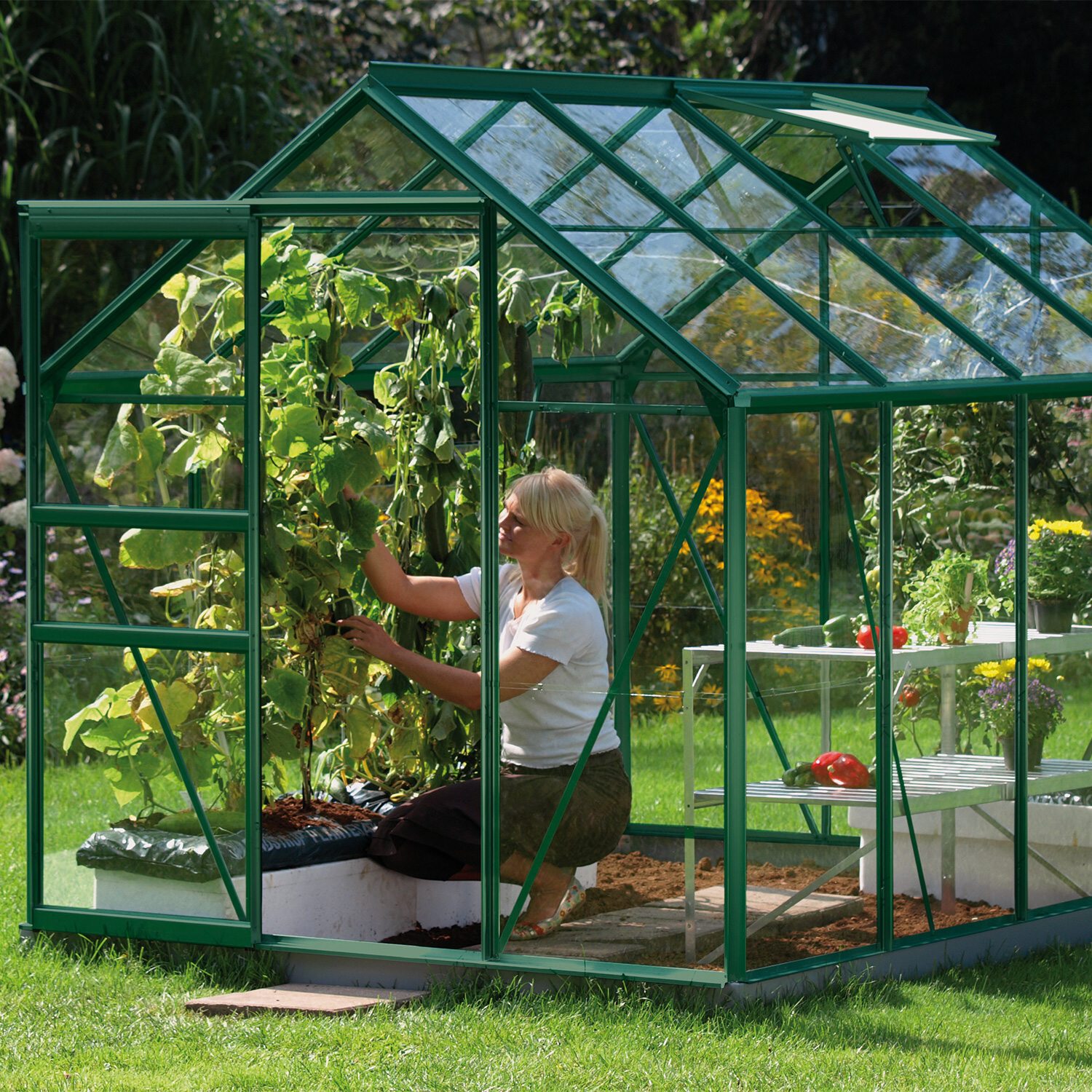 Skleník ze skla VITAVIA VENUS 5000, čiré sklo 3 mm, zelený LG1032 - Obrázek 2
