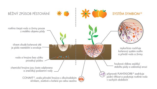 Symbiom mykorhizní houby Symbivit Květ 10 kg - Obrázek 2