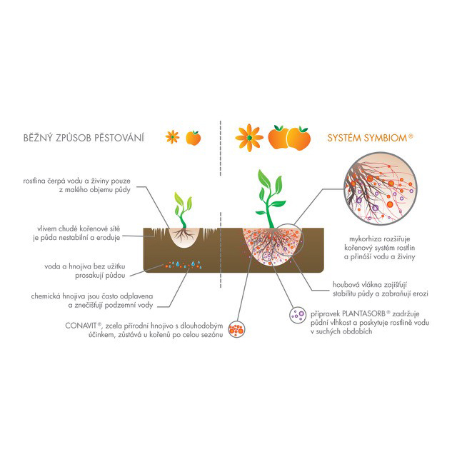 Symbiom mykorhizní houby Symbivit Bac 750 g - Obrázek 2