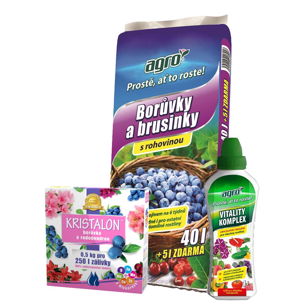 AGRO CS Borůvky